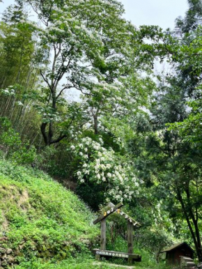 三義包棟民宿柏竺山莊Bozhu villa